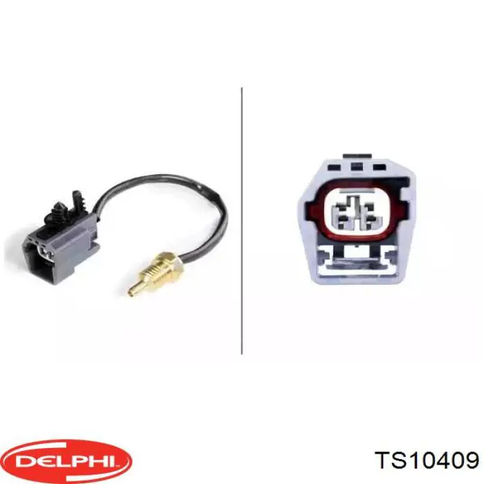 Купити TS10409 Delphi Датчик температури охолоджуючої рідини