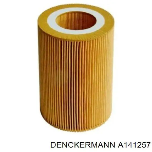 Купити A141257 Denckermann Автомобільний фільтр повітря