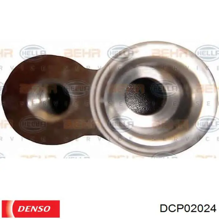 Купити DCP02024 Denso Компресор кліматичної установки