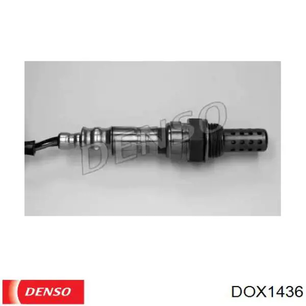  DOX1436 Denso