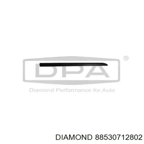Молдинг передньої правої двері Diamond/DPA 88530712802 ціна, від 7.63 USD