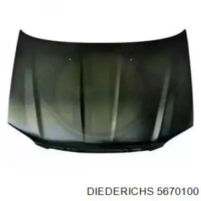 5670100 Diederichs Капот