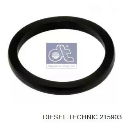 215903 Diesel Technic Ущільнення для патрубка помпи