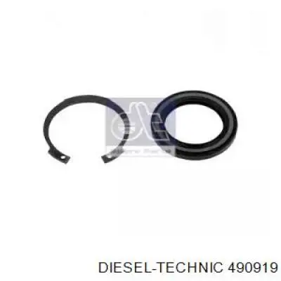 490919 Diesel Technic Сальник рульового механізму, ремкомплект