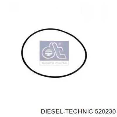 520230 Diesel Technic Сальник передньої маточини