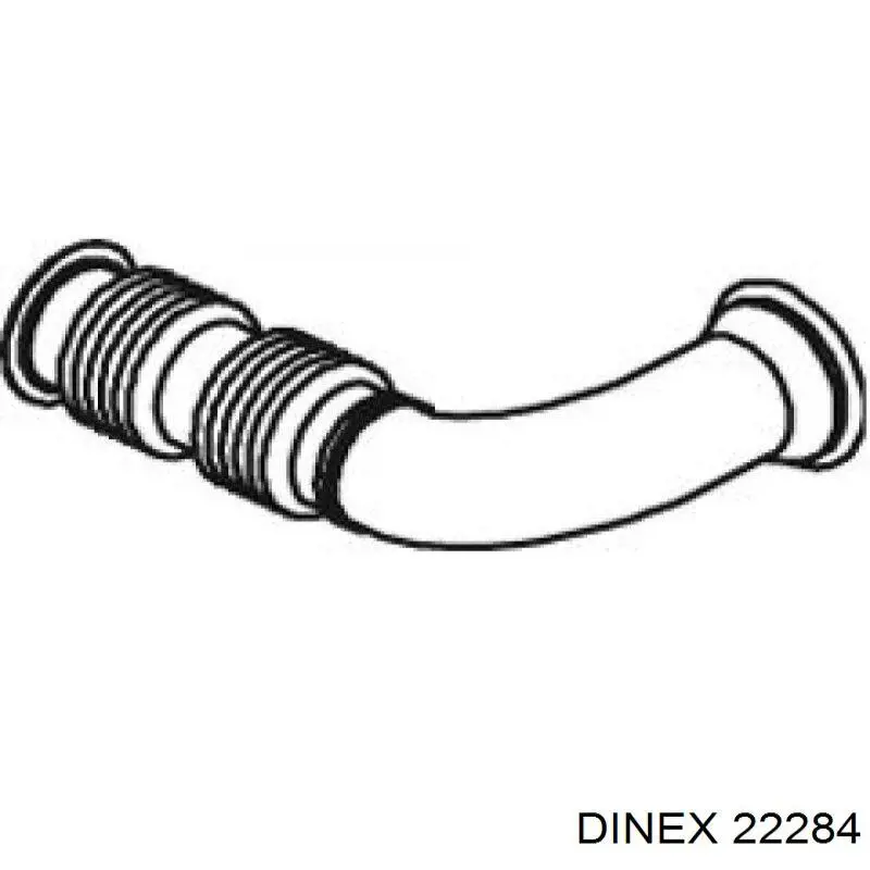  22284 Dinex