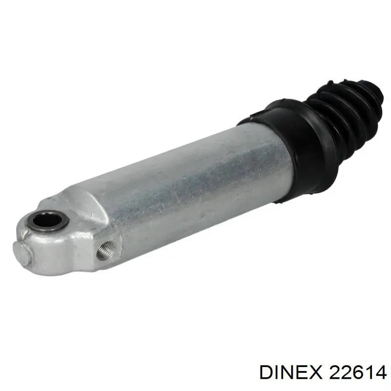  22614 Dinex