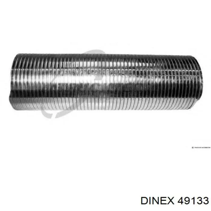  49133 Dinex