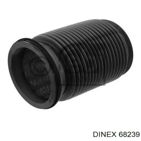 68239 Dinex 