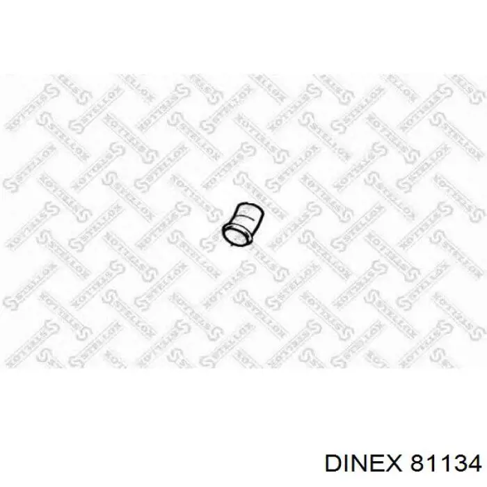 82171 Dinex Штани глушника передні