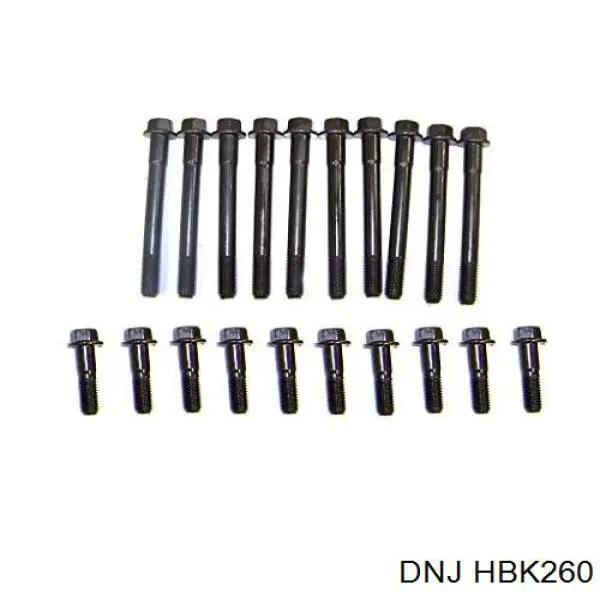 HBK260 DNJ Болт кріплення головки блоку циліндрів