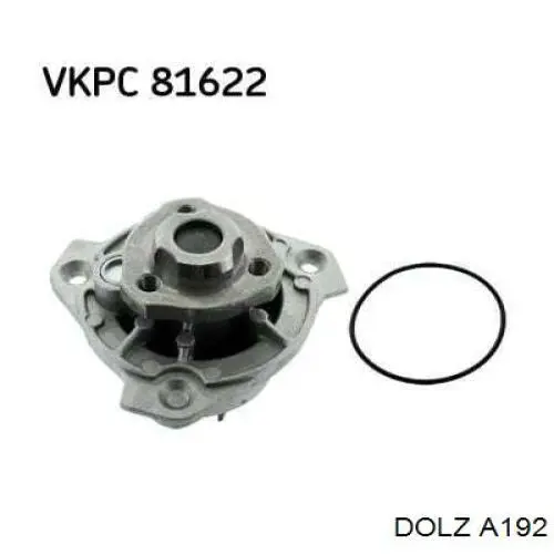 A192 Dolz Насос охолодження