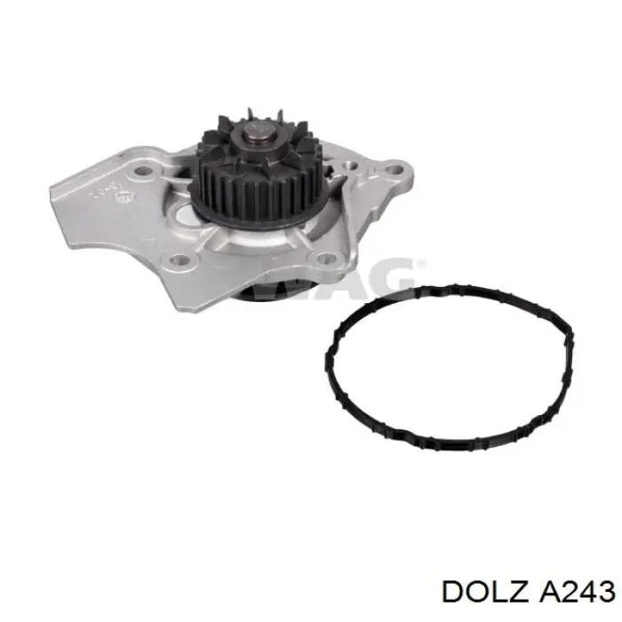 A243 Dolz Насос охолодження