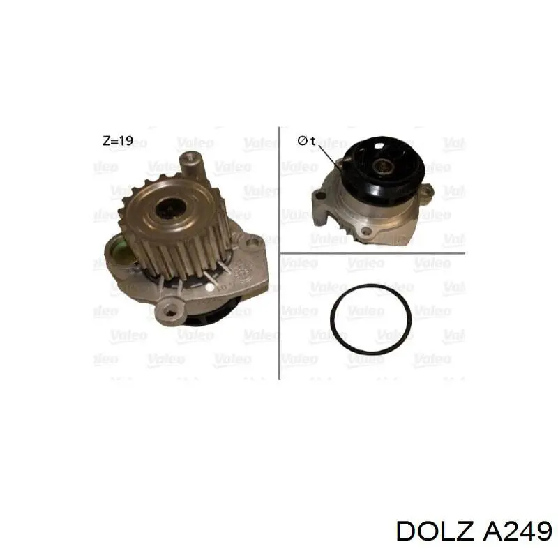 A249 Dolz Насос охолодження