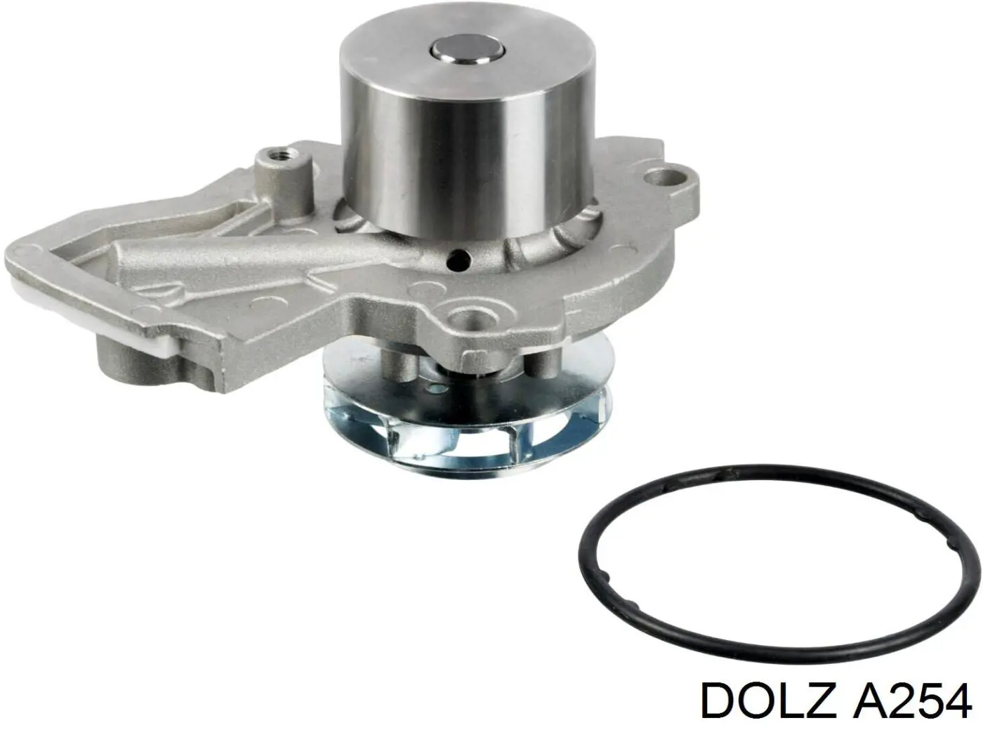 A254 Dolz Насос охолодження