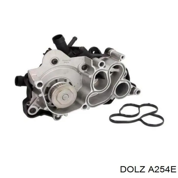 A254E Dolz Насос охолодження