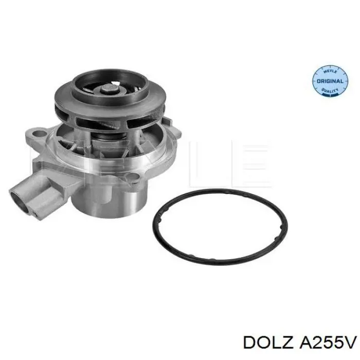 A255V Dolz Насос охолодження