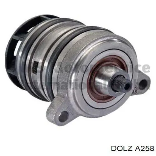 A258 Dolz Насос охолодження