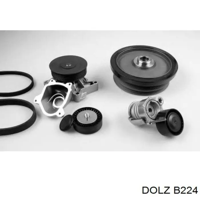 Помпа B224 Dolz