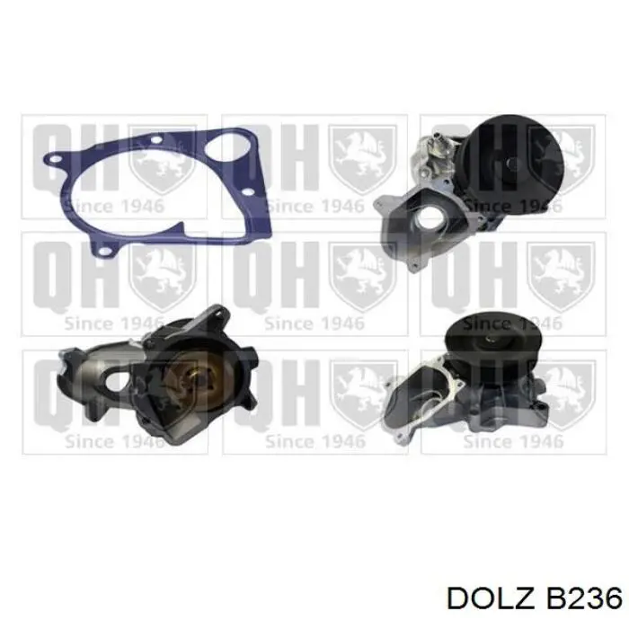 B236 Dolz Насос охолодження