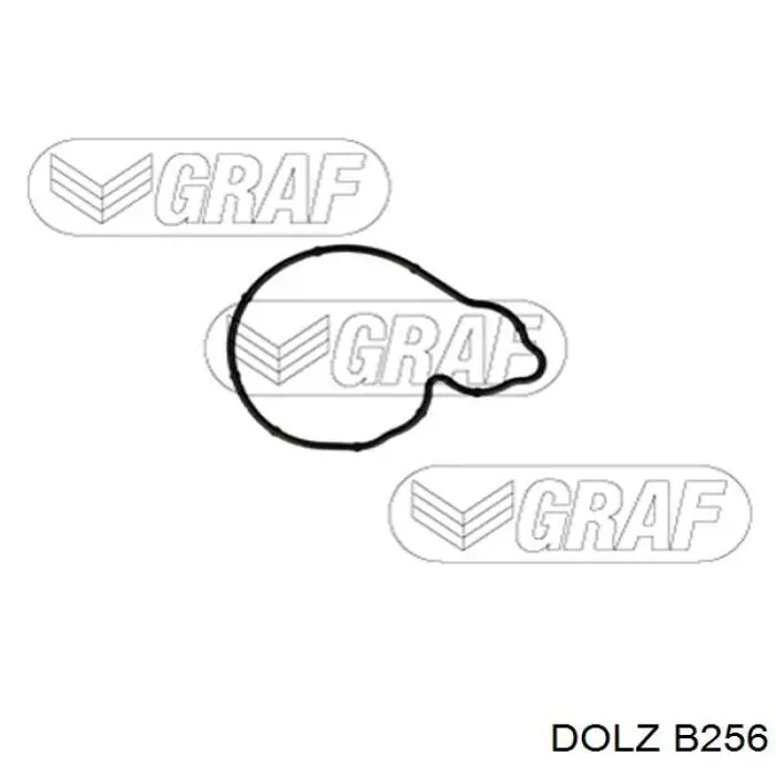 B256 Dolz Насос охолодження