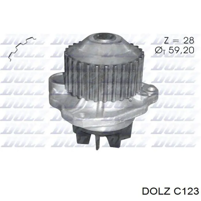 Помпа водяна, (насос) охолодження C123 Dolz