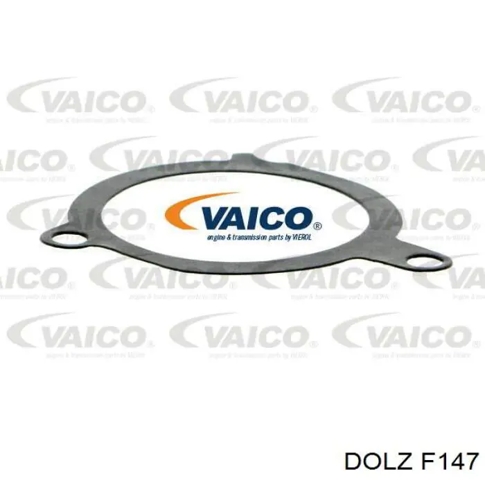 F147 Dolz Насос охолодження