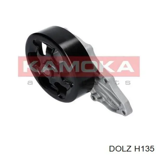 H135 Dolz Насос охолодження
