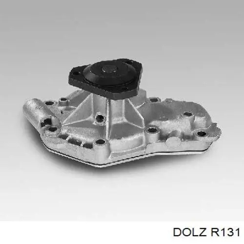 Помпа R131 Dolz