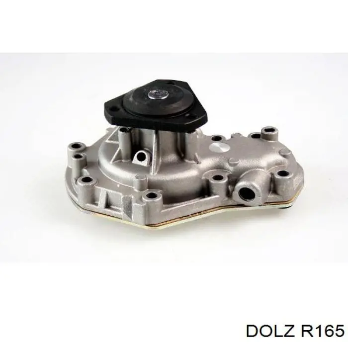 R165 Dolz Насос охолодження
