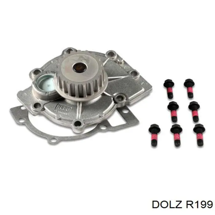 R199 Dolz Насос охолодження