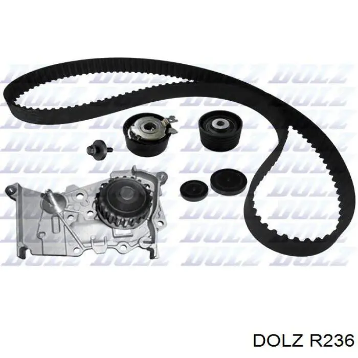 Помпа R236 Dolz