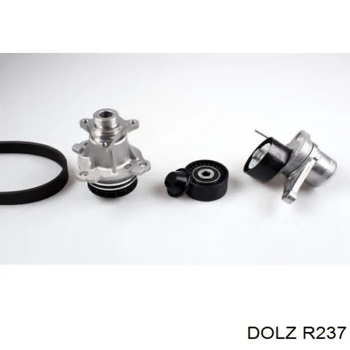 Помпа R237 Dolz