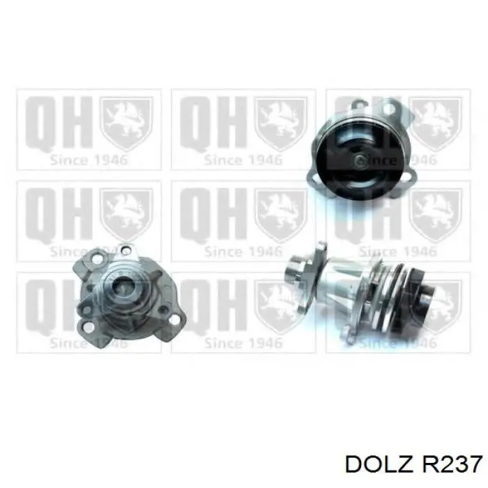 Купити R237 Dolz Насос охолоджуючої рідини