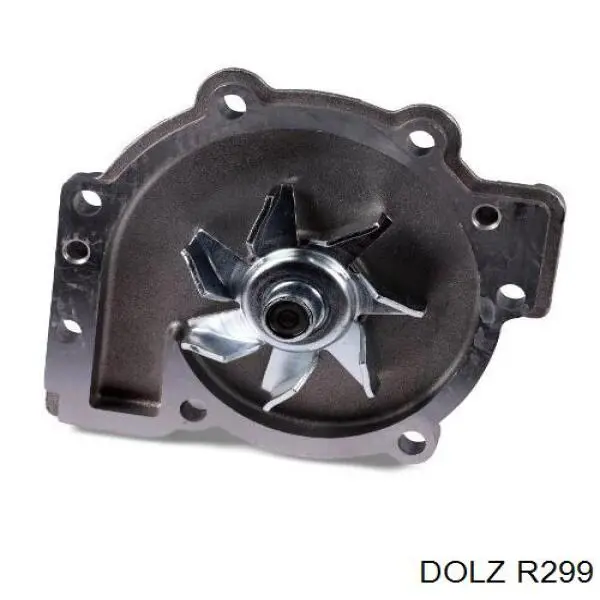 R299 Dolz Насос охолодження