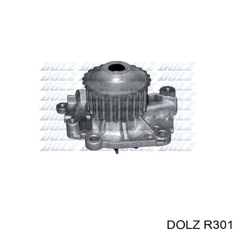R301 Dolz Насос охолодження