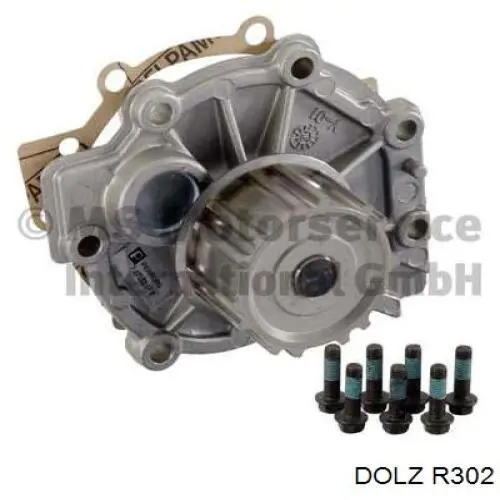 Купити R302 Dolz Насос охолоджуючої рідини