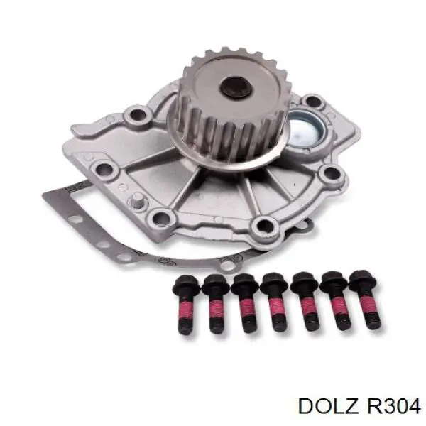 Помпа R304 Dolz