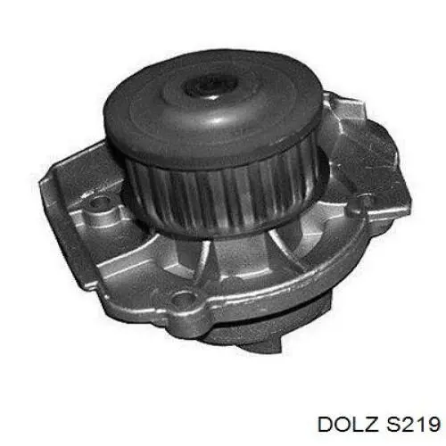 S219 Dolz Насос охолодження