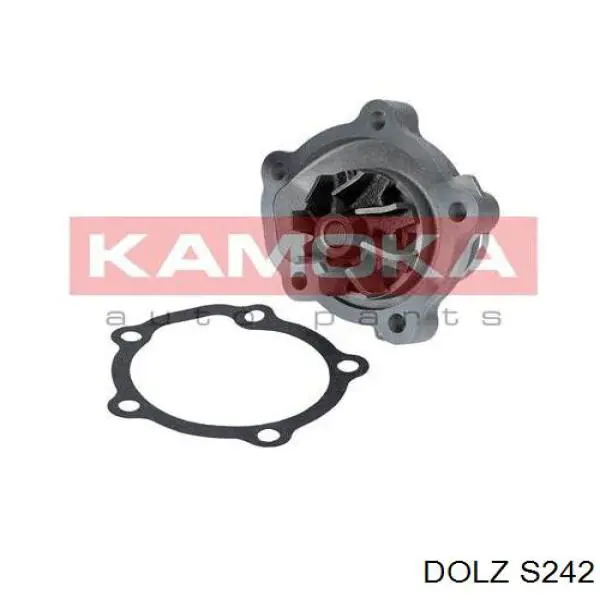 S242 Dolz Насос охолодження