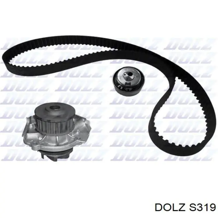 S319 Dolz Насос охолодження