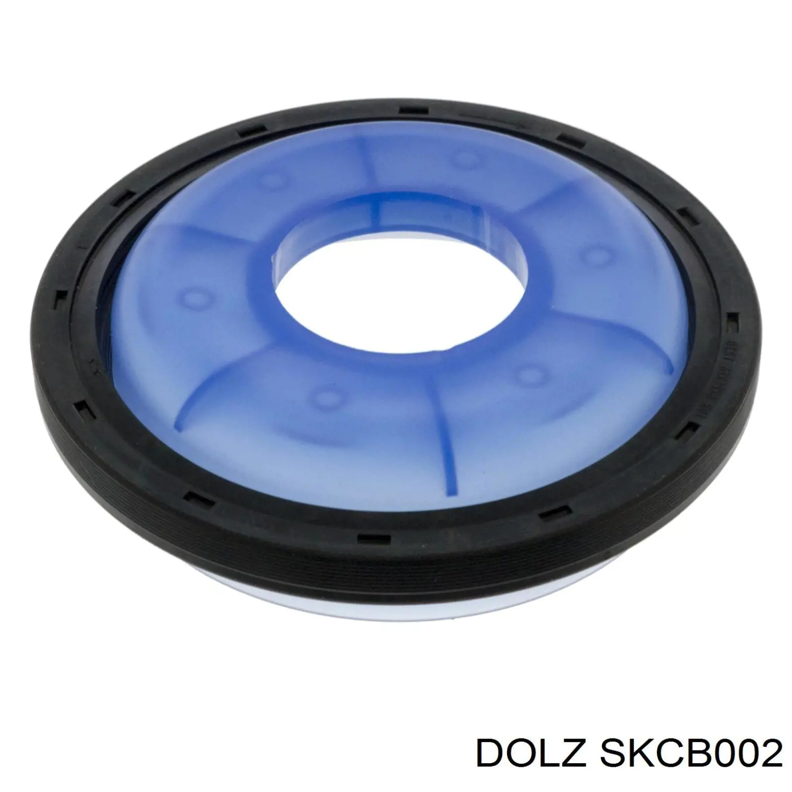Купити SKCB002 Dolz Комплект ланцюга ГРМ