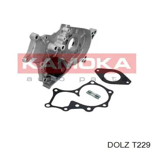 T229 Dolz Насос охолодження