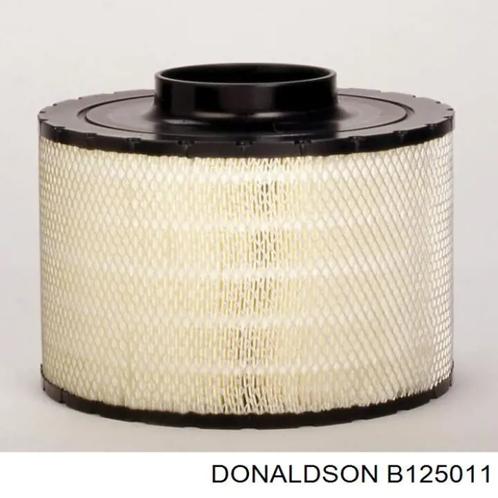 B125011 Donaldson Повітряний фільтр двигуна