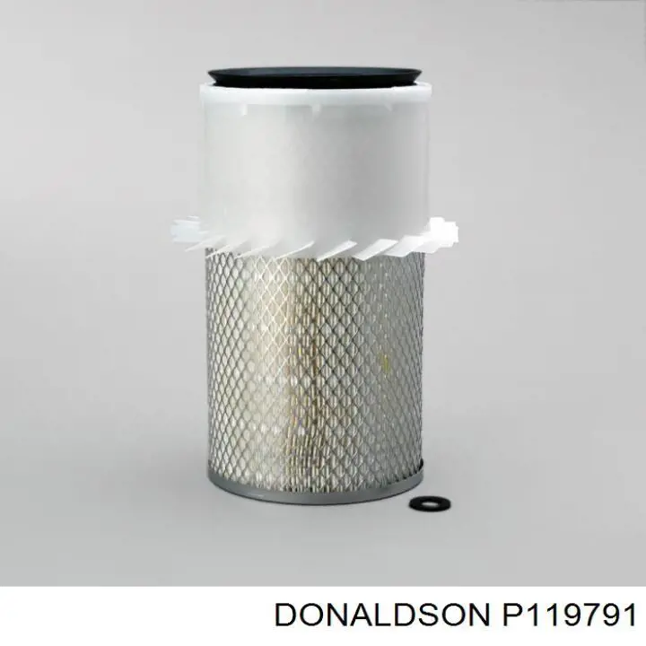 P119791 Donaldson 