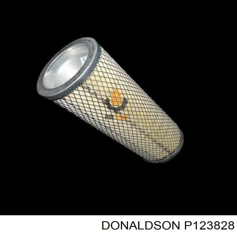 P123828 Donaldson 