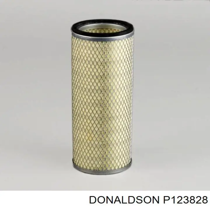 Купити P123828 Donaldson 