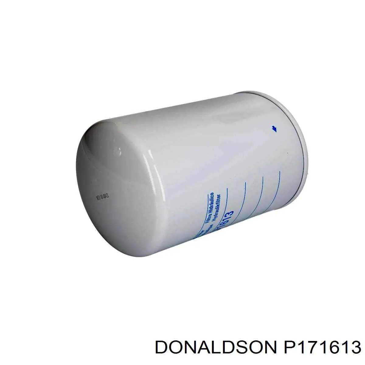 P171613 Donaldson 