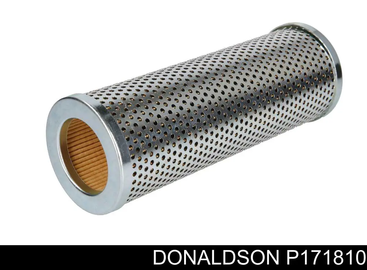  Donaldson P171810 ціна, від 47.31 USD