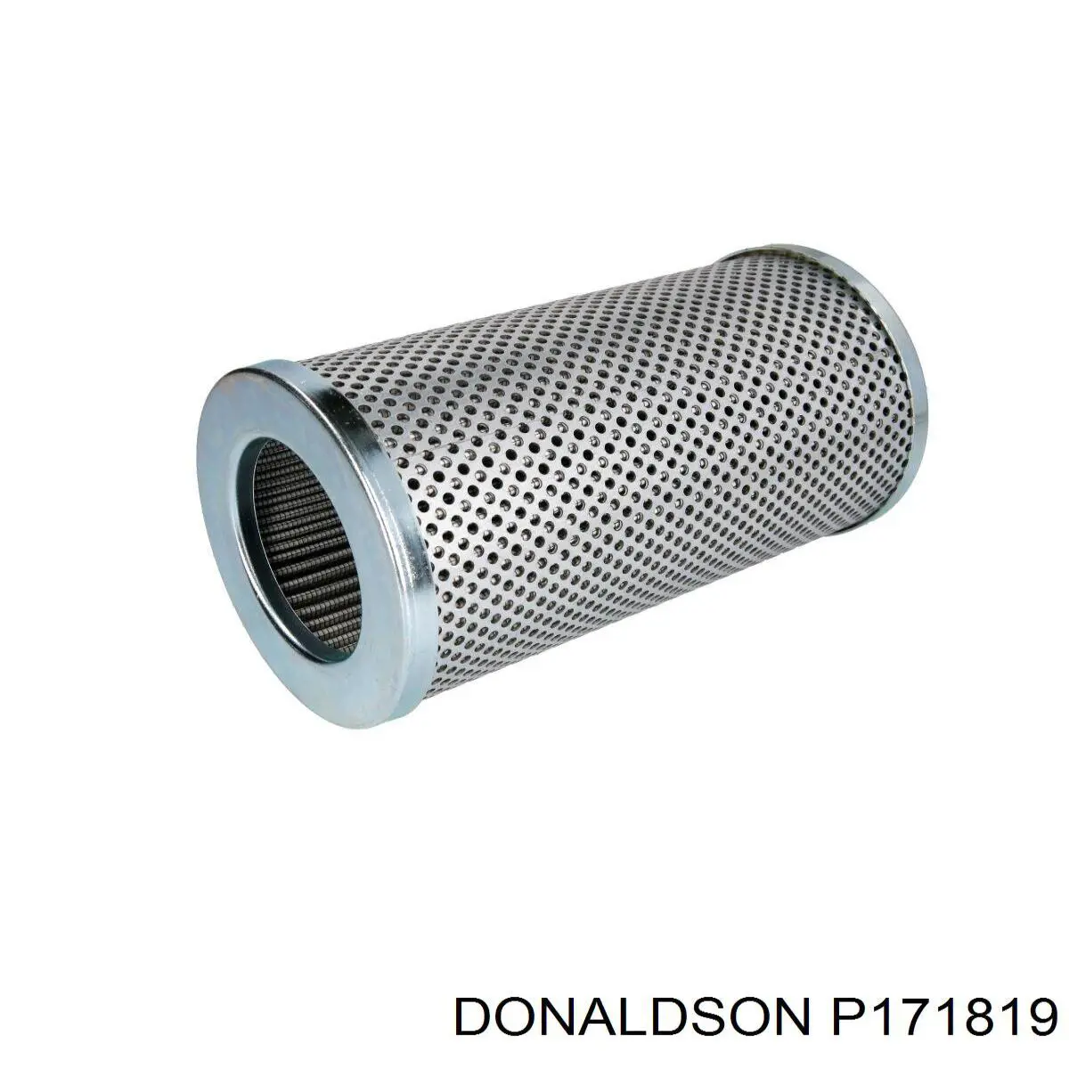 P171819 Donaldson 
